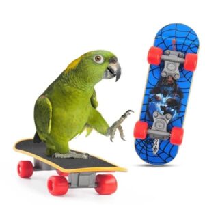 ActionEliters Bird Toys for Parakeets, 6pcs Parrot Toys Set with Bird Basketball Toy, Bird Skateboard, Bird Trolley, Bird Ring Bucket Toys, Parakeet Toys for Bird Training Toys