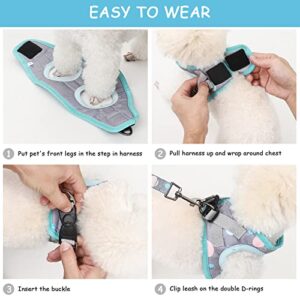 Pet Dog Harness, Walk-in Small Dog Harness and Leash Set, Soft and Non-Deformable Puppy Vest + 1.8m Dog Leash, Anti-Escape Puppy Kitten Harness, Suitable for Outdoor Walking of Cats and Small Dogs…