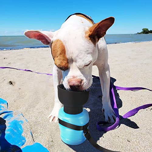 Dog Water Bottle 14oz, Leak Proof Pet Water Bottle for Dogs Portable Puppy Water Dispenser Foldable 2-in-1 Design, Lightweight & Convenient for Walking Travel Outdoor BPA Free (3rd Gen, Blue)