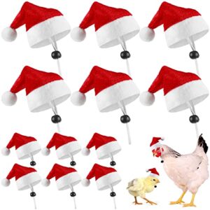 12 pcs chicken christmas hats for hens mini chicken santa claus hat with adjustable chin strap small animals santa hat for hens chicken rooster goose duck parrot christmas holiday