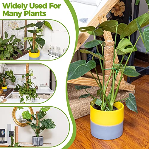 Yazoya Moss Pole 52.4 inches, 4pcs 17 inch Moss Pole for Plants Monstera, Moss Stick for Plants Support Extension to Grow Upwards, Coir Totem Pole for Climbing Plants with 65 feet Garden tie