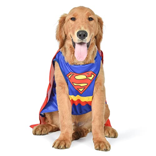 DC Comics Superhero Superman Halloween Dog Costume - Medium - | DC Superhero Halloween Costumes for Dogs, Funny Dog Costumes | Officially Licensed DC Dog Halloween Costume