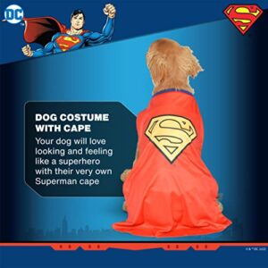 DC Comics Superhero Superman Halloween Dog Costume - Medium - | DC Superhero Halloween Costumes for Dogs, Funny Dog Costumes | Officially Licensed DC Dog Halloween Costume