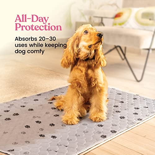 Super Absorbent Washable Pee Pads for Dogs - 2-Pack Superior Reusable Puppy Pads Pet Training Pads –100% Waterproof Dog Pee Pad Protects Against Urine Leakage Non-Slip Grip Prevents Slipping& Bunching