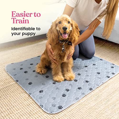 Super Absorbent Washable Pee Pads for Dogs - 2-Pack Superior Reusable Puppy Pads Pet Training Pads –100% Waterproof Dog Pee Pad Protects Against Urine Leakage Non-Slip Grip Prevents Slipping& Bunching
