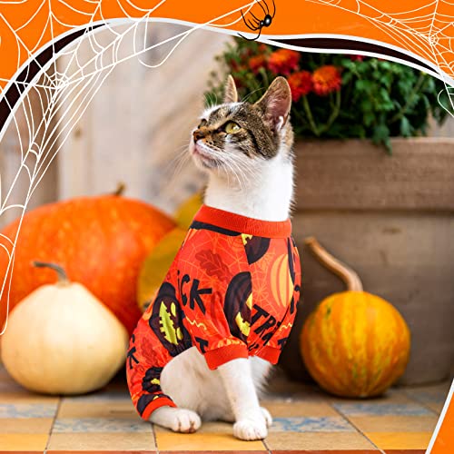 4 Pack Halloween Dog Pajamas Holiday Clothes Dog Costumes for Halloween Dog Apparel Jumpsuit Pumpkin Skull Ghost Witch Halloween Dog Costume for Puppy Dog Cat Halloween Cosplay (Small)