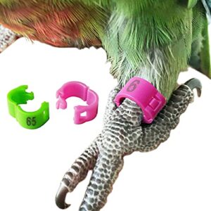srrpspigeon bird leg ring 60pc 6 color clip ring 3mm 4.5mm 4mm 5mm parrot canary aviary leg band foot ring open clip ring (5mm)