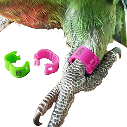 SRRPSPIGEON Bird Leg Ring 60pc 6 Color Clip Ring 3mm 4.5mm 4mm 5mm Parrot Canary Aviary Leg Band Foot Ring Open Clip Ring (5mm)