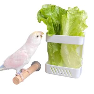 Bird Parrot Feeder with Stand Perch Cage Fruit Vegetable Holder Vegetable Rack Pet Food Hanging Baskets Parrot Fruit Hanging Containers Cage Hanging Basket Container