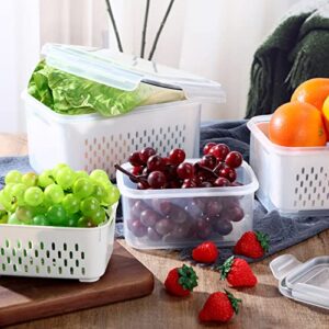 Potchen 6 Pieces Fruit Storage Containers for Fridge Produce Saver Containers with Drain Baskets Fridge Organizers with Airtight Lid Fruit Vegetable Storage Containers Organizer for Refrigerator