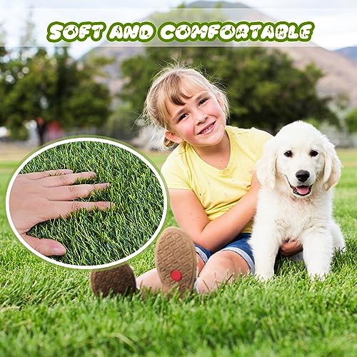 Bethebstyo Artificial Grass, Dog Pee Pads, Professional Dog Potty Training Rug, Large Dog Grass Mat with Drainage Holes, Pet Turf Indoor Outdoor Flooring Fake Grass Doormat - Easy to Clean（51"x 26"）