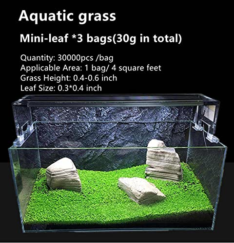 Aquarium Live Plant Seeeds, Fresh Water Grass Se EDS 1oz Mini Leaf Small Pearl for Fish Tank Terrarium Aquatic Dwarf Carpet Decor Decoration AAA