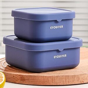 Eyoulyer Silicone Bento Box with Lid Food Storage Durable Bowl Mixing Serving Eating Non-Slip Easy Grip Indoor Outdoor Travel To-Go Food Containers Set2 Canister (BLUE-SQUARE)
