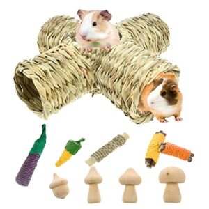 vehomy guinea pig grass tunnel toy hamster natural hideaway tunnel tubes and 9pcs small pet chewing toys small animal grass house with 5 entrances for guinea pig syrian hamster chinchillas gerbils