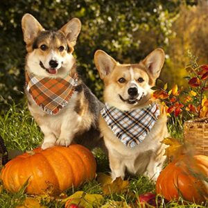 YUJUN 2 Pack Thanksgiving Pet Dog Bandana Fall Autumn Plaid Double Layer Fabric Reversible Triangle Bibs Scarf Pet Accessories for Thanksgiving Fall Small to Medium Pet Costume Supply(Tassel Style)