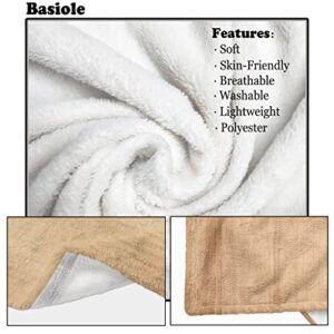 Basiole Gifts for Boyfriend Husband Blanket, I Love You Gifts for Him, Romantic Gifts for Men, Anniversary Birthday Gifts for Boyfriend, Valentines Day Gifts for Boyfriend Throw Blankets 50"X60"