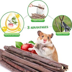 antiai Guinea Pig Toys Apple Sticks Timothy Hay Sticks 2 Combination, Rabbit Toy Bunny Treats Natural Hamster Chinchilla Rat Gerbil Chew Toys for Teeth Care