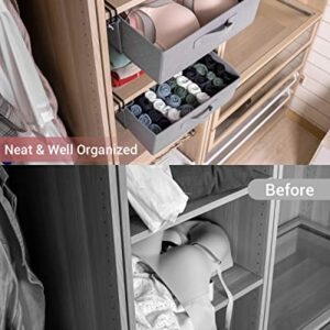 BRUINAGORA Closet Organizers and Storage, Closet Pullout Drawer, Under Shelf Storage Organizer, Adjustable Clips for Underwear, Bra, Lingerie, Panties, Undies, Grey/2 Pack