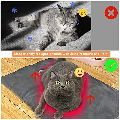 BiirBlue Pet Heating Pad, Temperature Adjustable Dog Cat Heating Pad with Overheat Protection, Indoor Heated Cat Bed for Puppy Kitten, Flame Retardant and Waterproof PVC Pet Heated Mat (Small)