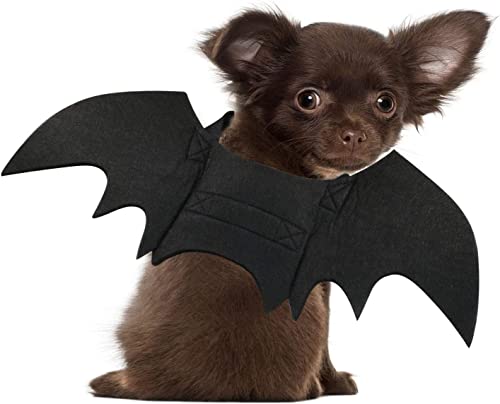 TOLOG Dog Costume Bat Wings for Small Medium Dog & Cat Halloween Pet Costumes Bats Cosplay Cute Puppy Party Dress Up Apparel