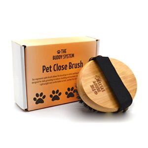 the buddy system pet close brush, soft touch oval palm brush - bamboo massage handheld with soft boar bristles and elastic band for dogs and cats