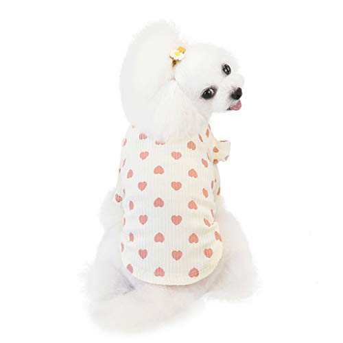 Clothes Dog Dress Print Pet Bottoming Breathable Dress Rabbit Cat Lace Pet Clothes Puppy Clothes for Girl Dogs