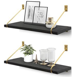 Gronda Black Floating Shelves Set of 2, Black Gold Wall Shelves Minimalist Modern Wall Decor Wooden Bookshelves Trophy Display Storage Plants Floating Shelves Wall Mount Living Room Bedroom Bathroom