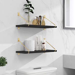 Gronda Black Floating Shelves Set of 2, Black Gold Wall Shelves Minimalist Modern Wall Decor Wooden Bookshelves Trophy Display Storage Plants Floating Shelves Wall Mount Living Room Bedroom Bathroom