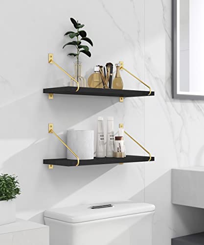 Gronda Black Floating Shelves Set of 2, Black Gold Wall Shelves Minimalist Modern Wall Decor Wooden Bookshelves Trophy Display Storage Plants Floating Shelves Wall Mount Living Room Bedroom Bathroom