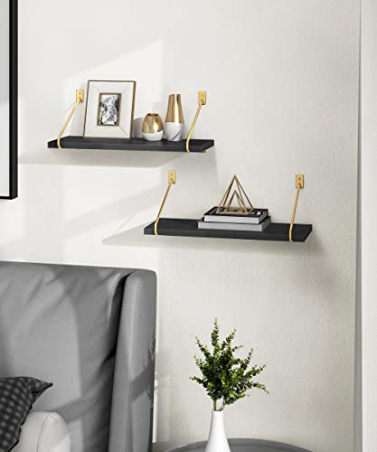 Gronda Black Floating Shelves Set of 2, Black Gold Wall Shelves Minimalist Modern Wall Decor Wooden Bookshelves Trophy Display Storage Plants Floating Shelves Wall Mount Living Room Bedroom Bathroom