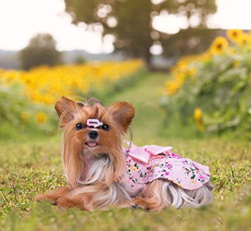 MSNFOASM 4pcs-New Spring Summer Puppy Dog Dress,Cute Colored Sun Flower Dog Bow Skirt for Small Girl Dogs(Floral,M)