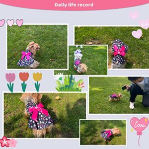 MSNFOASM 4pcs-New Spring Summer Puppy Dog Dress,Cute Colored Sun Flower Dog Bow Skirt for Small Girl Dogs(Floral,M)