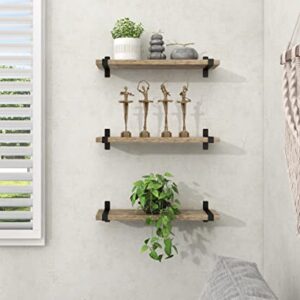 Gronda Floating Shelves Natural Wood Set of 3, Rustic Solid Wood Floating Shelves Wall Mounted Floating Bookshelves Farmhouse Wooden Wall Decor Wall Shelves for Bathroom Living Room Bedroom Kitchen