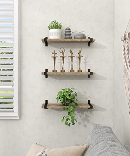 Gronda Floating Shelves Natural Wood Set of 3, Rustic Solid Wood Floating Shelves Wall Mounted Floating Bookshelves Farmhouse Wooden Wall Decor Wall Shelves for Bathroom Living Room Bedroom Kitchen