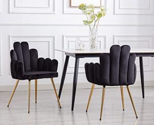 lei yu shunzhi modern velvet dining chairs set of 2 upholstered leisure gold legs arm chairs guest chairs skin-friendly side chairs comfy vanity chair for makeup room/bedroom/living room, black, 2pcs