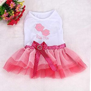 Dog Dress for Medium Dog Girl Apparel Clothes Cute Puppy Pet Costumes Cat Lace Tutu Mesh Dresses 2 Pcs M