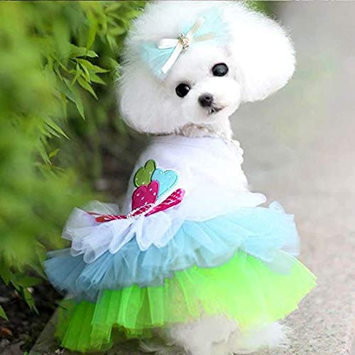 Dog Dress for Medium Dog Girl Apparel Clothes Cute Puppy Pet Costumes Cat Lace Tutu Mesh Dresses 2 Pcs M