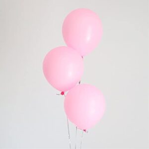 10 inch Pastel Pink Party Balloons, 100 pcs Macaron Pink Latex Balloons Light Pink Birthday Balloons (Pastel Pink)