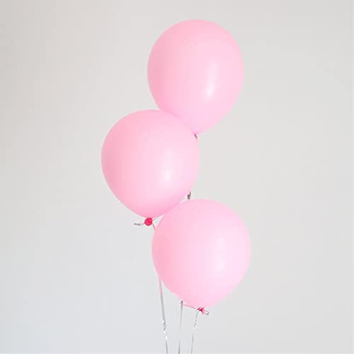 10 inch Pastel Pink Party Balloons, 100 pcs Macaron Pink Latex Balloons Light Pink Birthday Balloons (Pastel Pink)