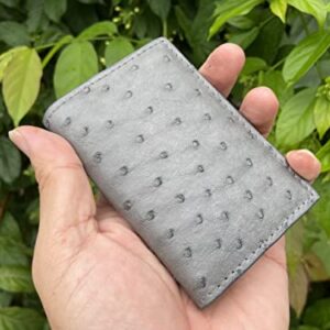 Doubleside Grey Body Ostrich leather skin Credit Cardholder, leather credit cardcase, leather creditcard cover