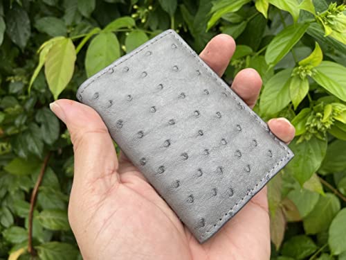 Doubleside Grey Body Ostrich leather skin Credit Cardholder, leather credit cardcase, leather creditcard cover