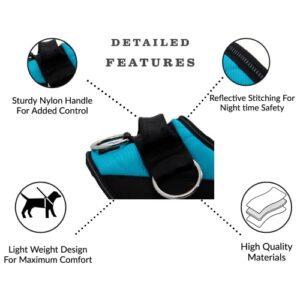 ShawnCo Essential Dog Harness, No-Pull Pet Vest with 3 Leash Clips, No Choke, Reflective, Adjustable and Padded, for Easy Walking and Training for Small, Medium and Large Dogs (Stars and Stripes, L)