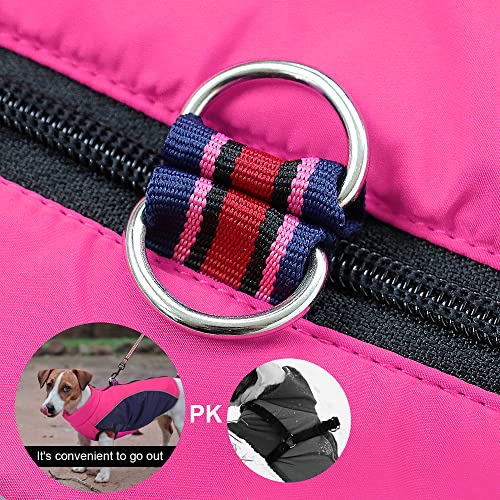 Didog Fleece Lined Warm Dog Winter Coat for Small Dogs & Cats,Reflective Cold Weather Dog Jacket Sport Vest with Zipper Closure and Leash Ring for Walking Hiking(Chest: 14" Back Length: 12", Hot Pink)