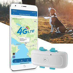 Dog GPS Tracker 4G LTE Dog Tracker 700mA Standby 7 Days GPS Tracker for Dogs Mini GPS Tracker for Dog Collar Dog Stuff 10 Hours Work Dogs Accessories (TK4G-911pro)