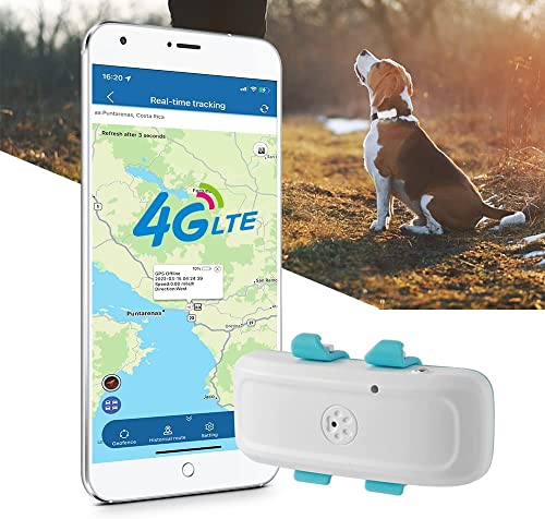 Dog GPS Tracker 4G LTE Dog Tracker 700mA Standby 7 Days GPS Tracker for Dogs Mini GPS Tracker for Dog Collar Dog Stuff 10 Hours Work Dogs Accessories (TK4G-911pro)