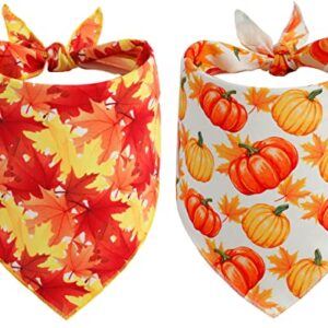 Fall Dog Bandana, Festival Pets Scarf for Thanksgiving Daily Use in Autumn