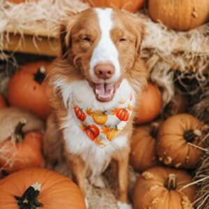 Fall Dog Bandana, Festival Pets Scarf for Thanksgiving Daily Use in Autumn