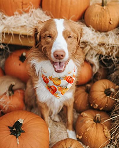 Fall Dog Bandana, Festival Pets Scarf for Thanksgiving Daily Use in Autumn