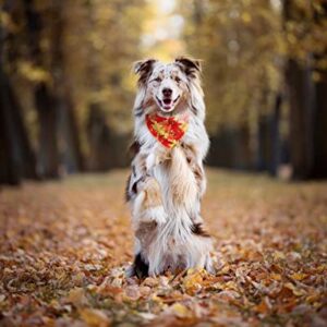 Fall Dog Bandana, Festival Pets Scarf for Thanksgiving Daily Use in Autumn