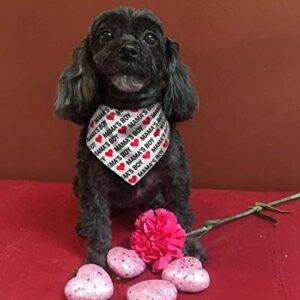 2 Pack Valentine's Dog Bandana, Puppy Valentine Scarfs for Small Dogs Cats